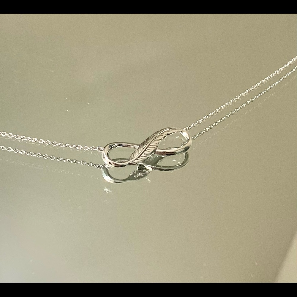 Infiniti Feather necklace
